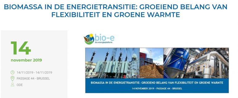 BIOMASSA IN DE ENERGIETRANSITIE: GROEIEND BELANG VAN FLEXIBILITEIT EN GROENE WARMTE - ODE